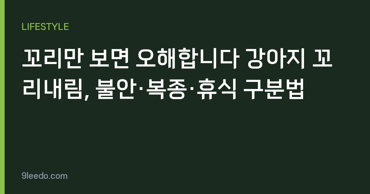 꼬리만 보면 오해합니다 강아지 꼬리내림, 불안·복종·휴식 구분법