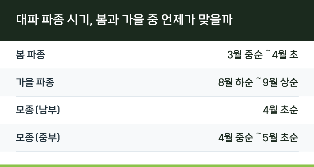 대파 파종 시기, 봄과 가을 중 언제가 맞을까