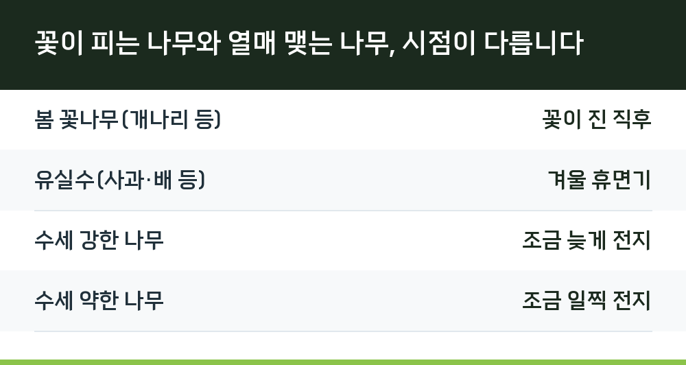 꽃이 피는 나무와 열매 맺는 나무, 시점이 다릅니다