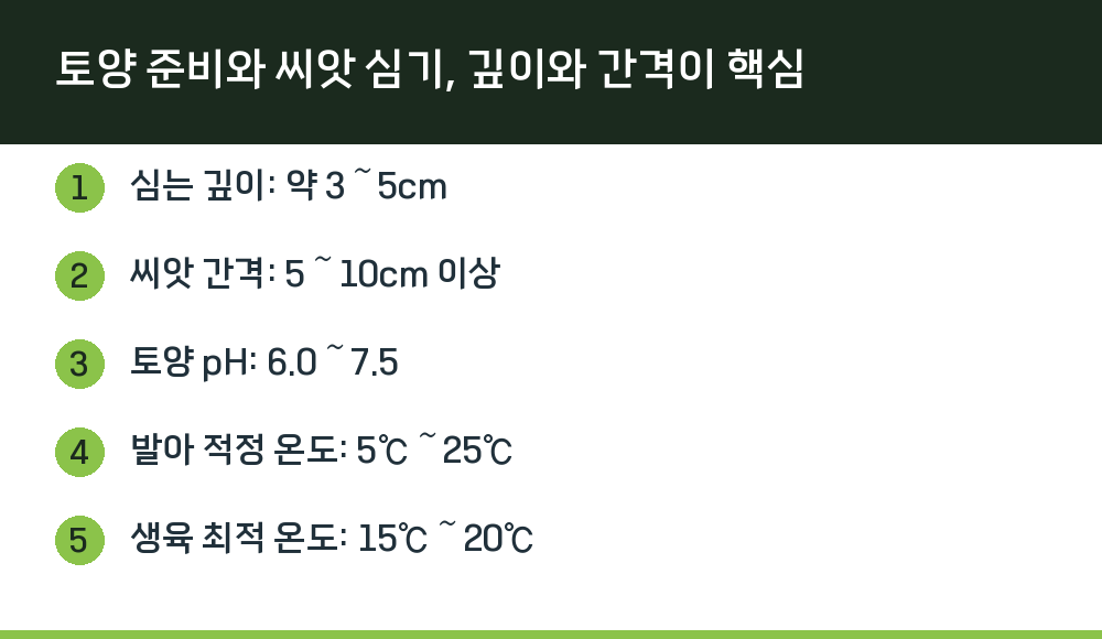 토양 준비와 씨앗 심기, 깊이와 간격이 핵심