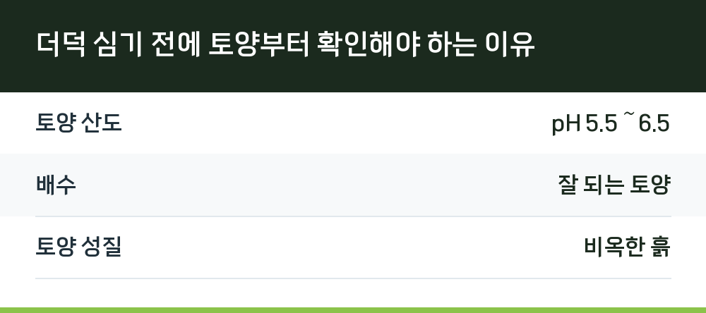 더덕 심기 전에 토양부터 확인해야 하는 이유