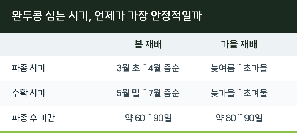 완두콩 심는 시기, 언제가 가장 안정적일까
