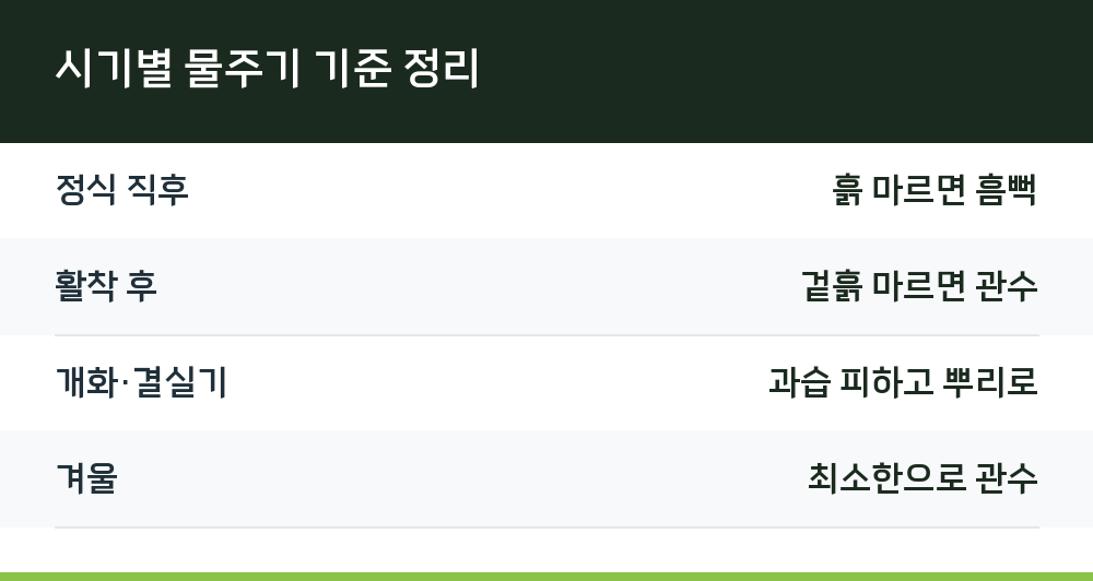 시기별 물주기 기준 정리