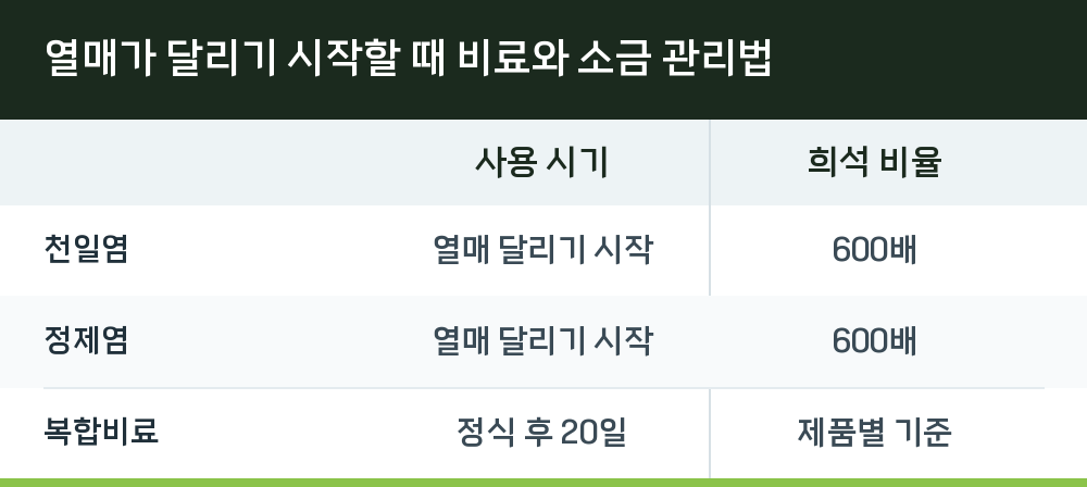 열매가 달리기 시작할 때 비료와 소금 관리법