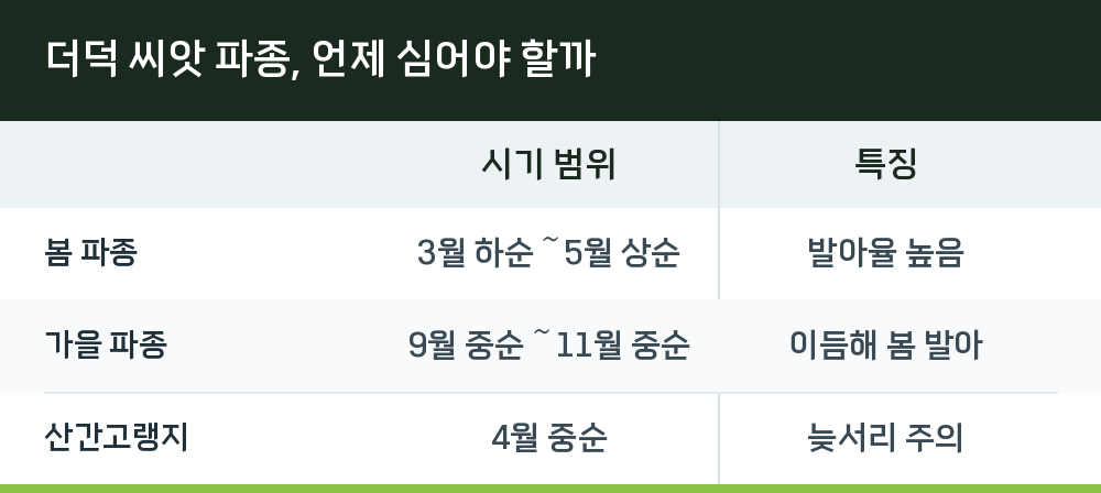 더덕 씨앗 파종, 언제 심어야 할까