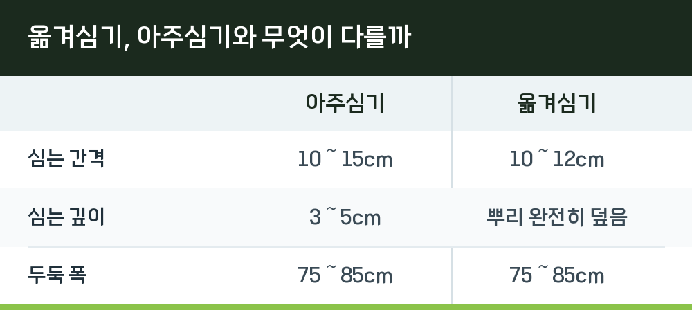 옮겨심기, 아주심기와 무엇이 다를까