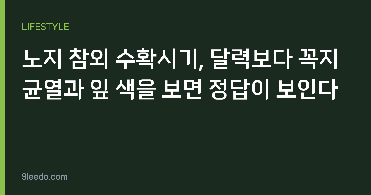노지 참외 수확시기, 달력보다 꼭지 균열과 잎 색을 보면 정답이 보인다