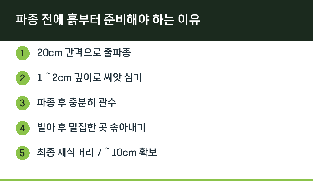 파종 전에 흙부터 준비해야 하는 이유