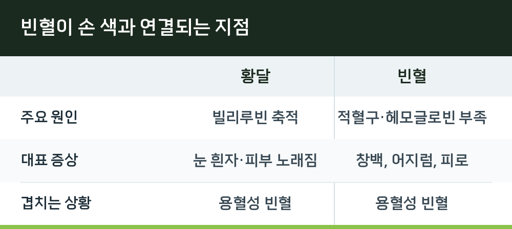 빈혈이 손 색과 연결되는 지점