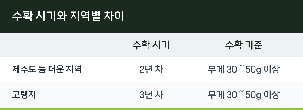 수확 시기와 지역별 차이