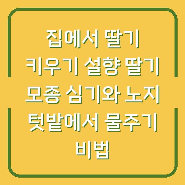 집에서 딸기 키우기 설향 딸기 모종 심기와 노지 텃밭에서 물주기 비법