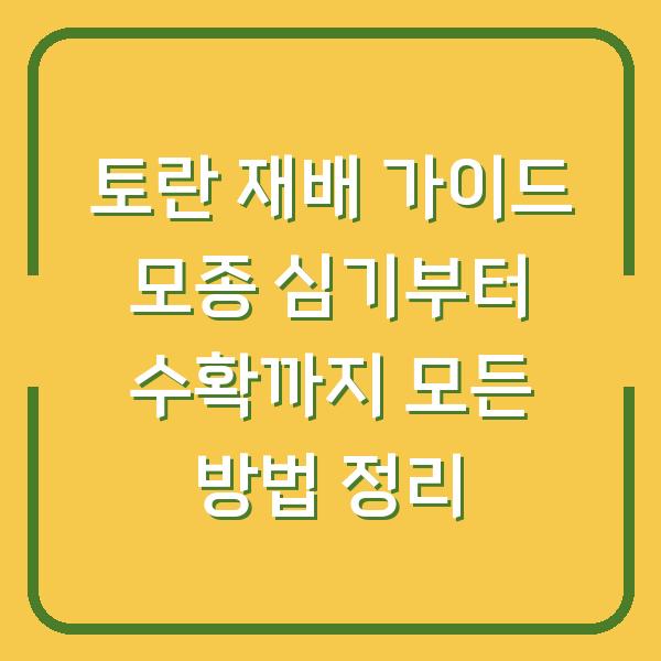 토란 재배 가이드 모종 심기부터 수확까지 모든 방법 정리