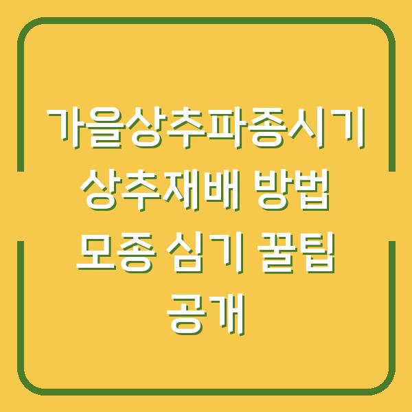 가을상추파종시기 상추재배 방법 모종 심기 꿀팁 공개