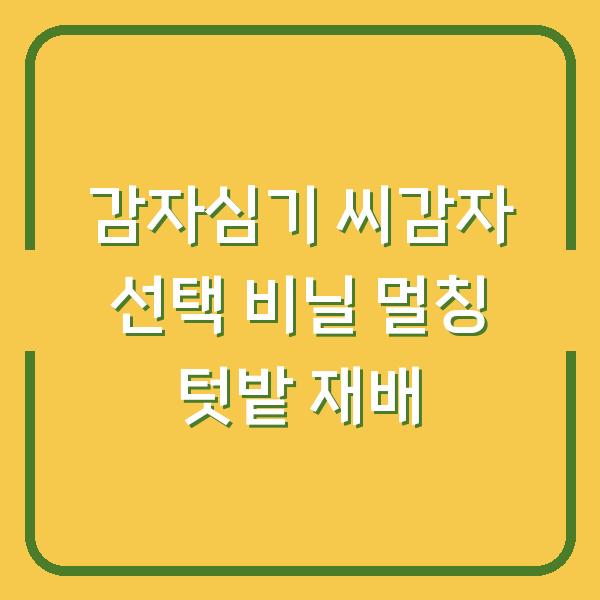 감자심기 씨감자 선택 비닐 멀칭 텃밭 재배