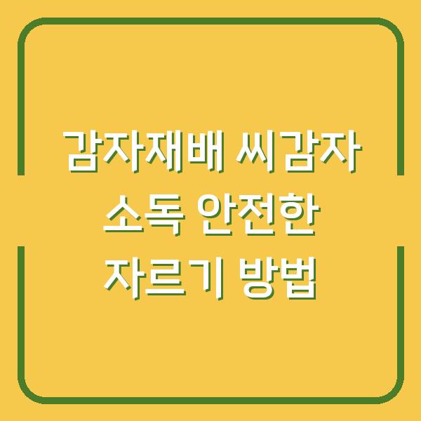 감자재배 씨감자 소독 안전한 자르기 방법