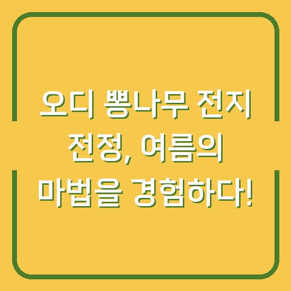 오디 뽕나무 전지 전정, 여름의 마법을 경험하다!