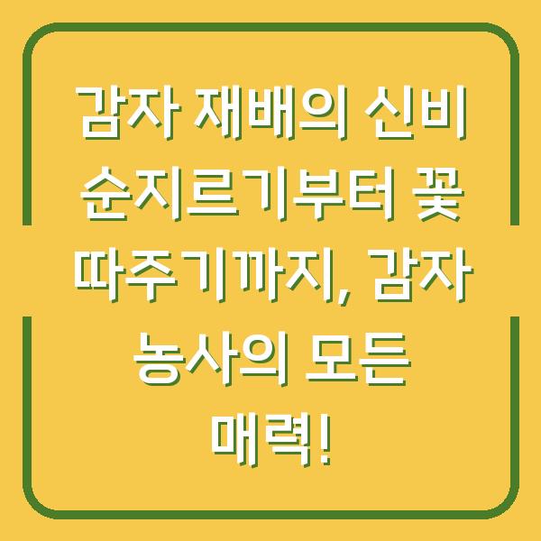 감자 재배의 신비 순지르기부터 꽃 따주기까지, 감자 농사의 모든 매력!
