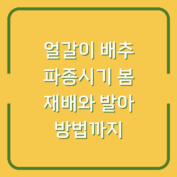 썸네일