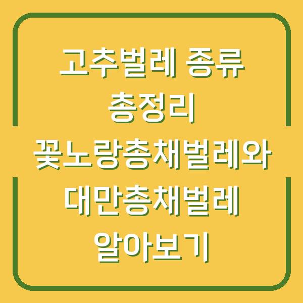 썸네일