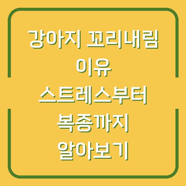 강아지 꼬리내림 이유 스트레스부터 복종까지 알아보기