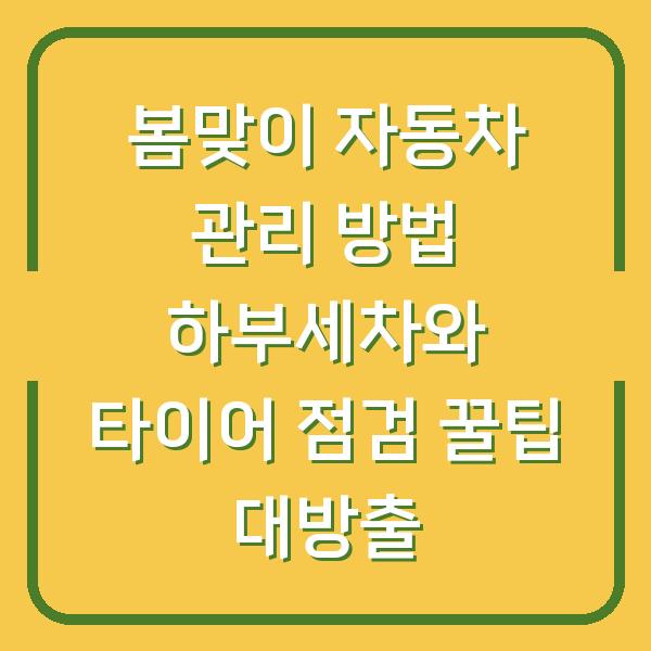 봄맞이 자동차 관리 방법 하부세차와 타이어 점검 꿀팁 대방출