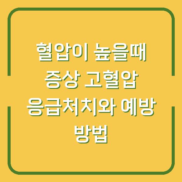 혈압이 높을때 증상 고혈압 응급처치와 예방 방법