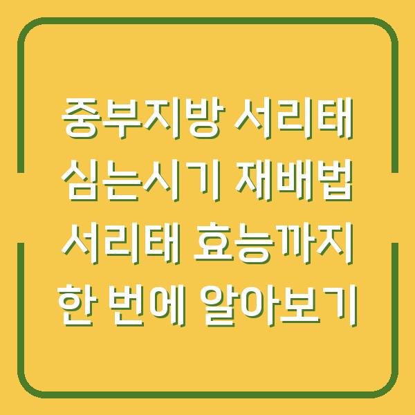 썸네일