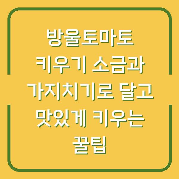 방울토마토 키우기 소금과 가지치기로 달고 맛있게 키우는 꿀팁