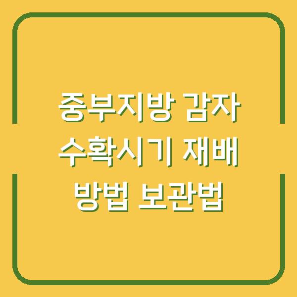 중부지방 감자 수확시기 재배 방법 보관법