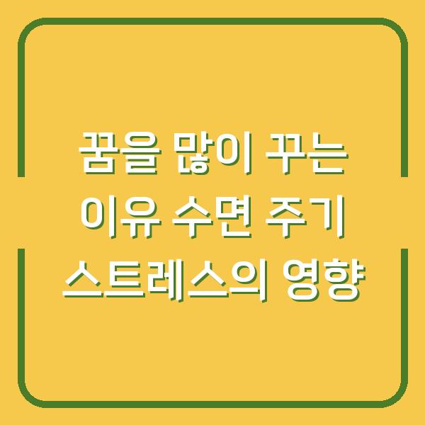 꿈을 많이 꾸는 이유 수면 주기 스트레스의 영향