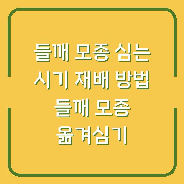 썸네일