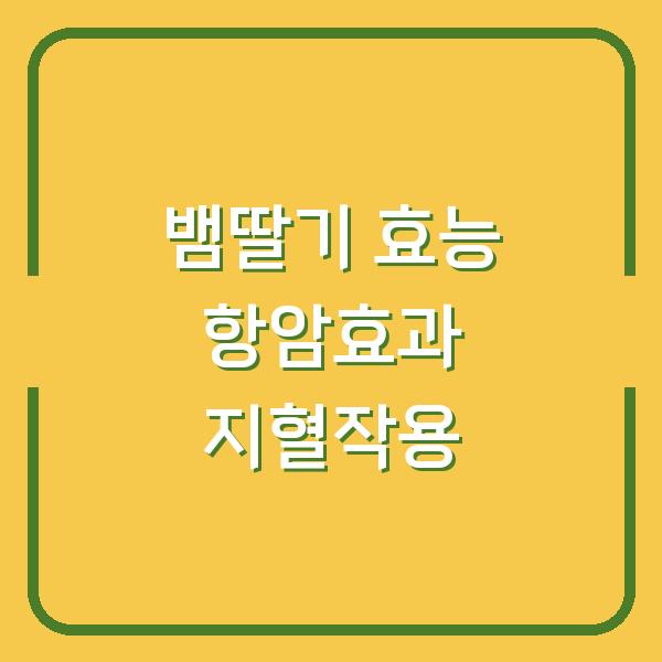 썸네일