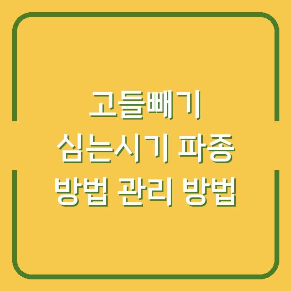 썸네일