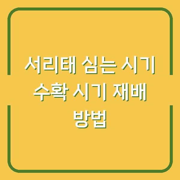 썸네일