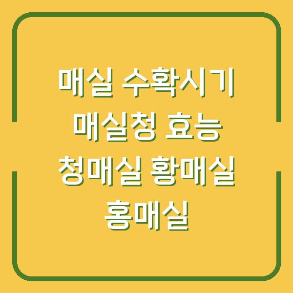 썸네일