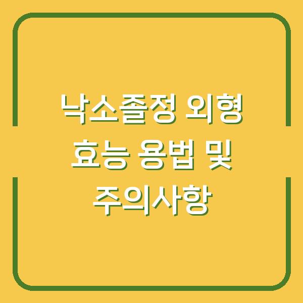 썸네일