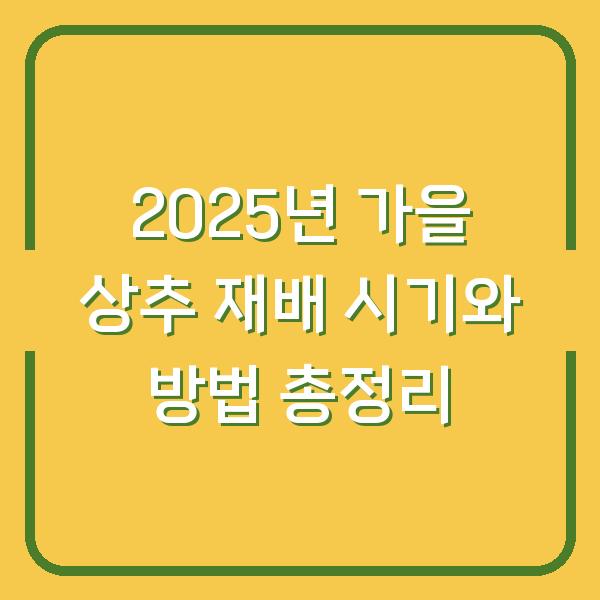 2025년 가을 상추 재배 시기와 방법 총정리