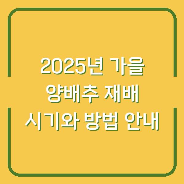 2025년 가을 양배추 재배 시기와 방법 안내