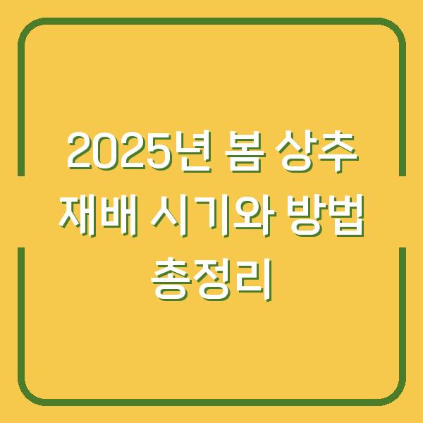 2025년 봄 상추 재배 시기와 방법 총정리