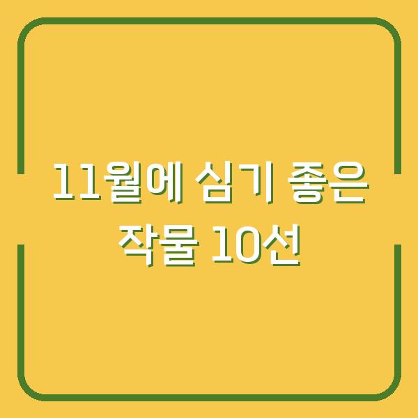 11월에 심기 좋은 작물 10선