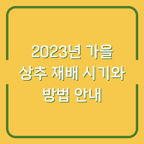 2023년 가을 상추 재배 시기와 방법 안내