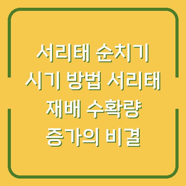서리태 순치기 시기 방법 서리태 재배 수확량 증가의 비결
