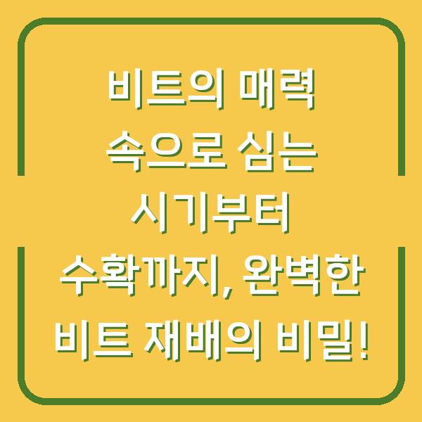 비트의 매력 속으로 심는 시기부터 수확까지, 완벽한 비트 재배의 비밀!