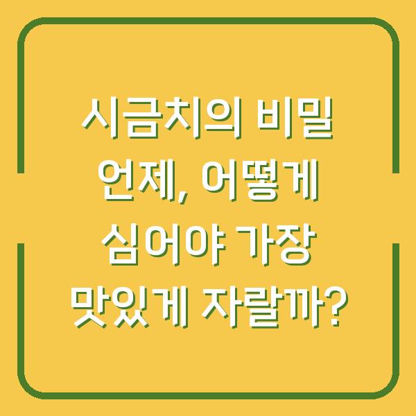 시금치의 비밀 언제, 어떻게 심어야 가장 맛있게 자랄까?