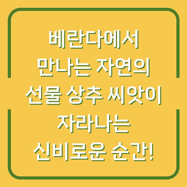 베란다에서 만나는 자연의 선물 상추 씨앗이 자라나는 신비로운 순간!