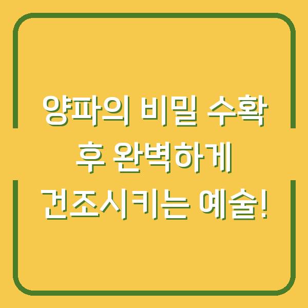 양파의 비밀 수확 후 완벽하게 건조시키는 예술!