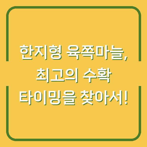 한지형 육쪽마늘, 최고의 수확 타이밍을 찾아서!