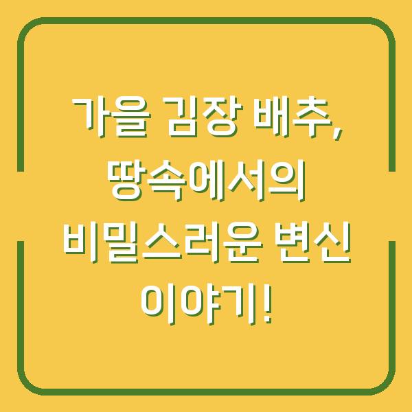 가을 김장 배추, 땅속에서의 비밀스러운 변신 이야기!