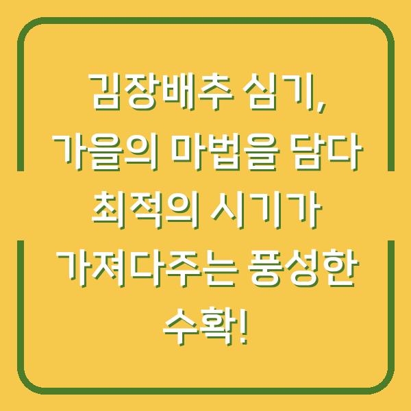 김장배추 심기, 가을의 마법을 담다 최적의 시기가 가져다주는 풍성한 수확!