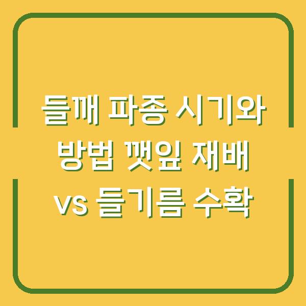 들깨 파종 시기와 방법 깻잎 재배 vs 들기름 수확